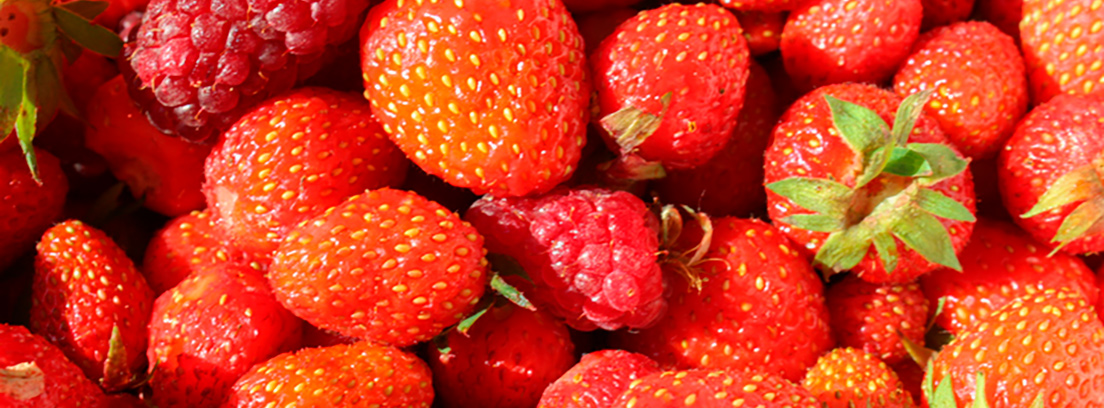 Frutos rojos 