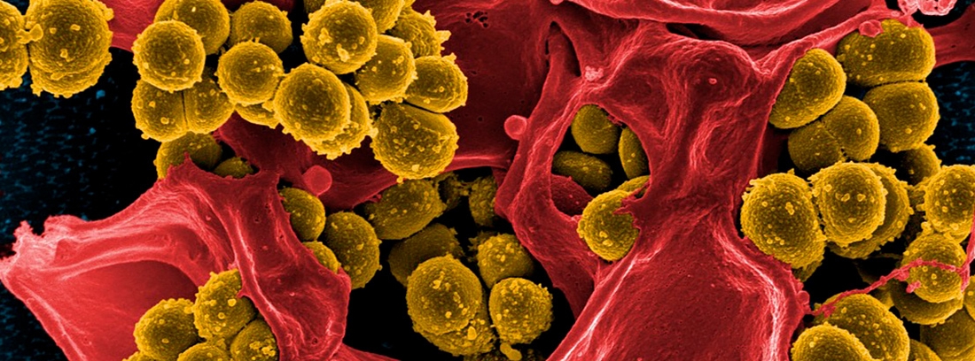 ¡qué Son Las Superbacterias Canalsalud 8396