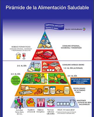 Total 64+ imagen modelo de piramide alimenticia