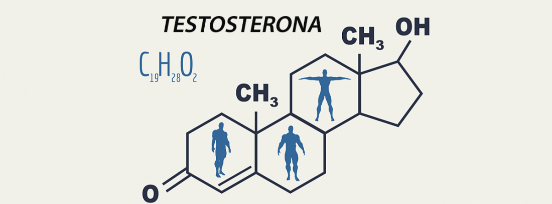 ¿Qué Pasa Cuando A Un Hombre Le Baja La Testosterona? -canalSALUD