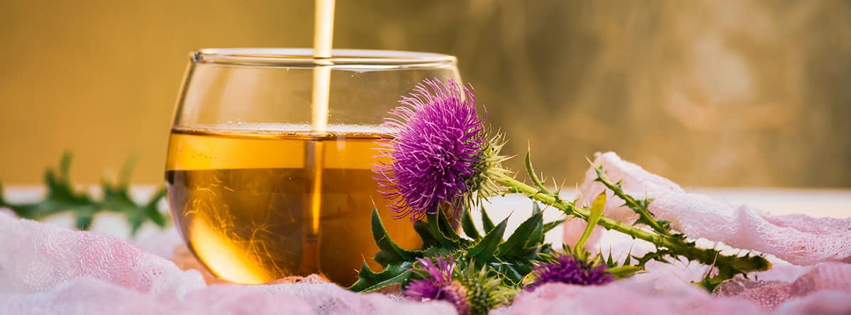 bol de cristal con infusión y planta de cardo mariano al lado 