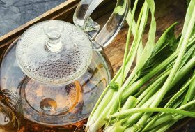 Llantén, beneficios: hojas de llantén y jarra con infusión