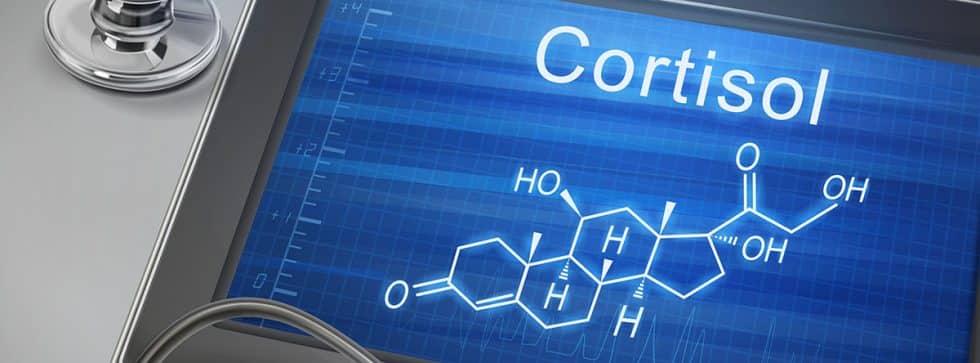 ¿Qué Es El Cortisol U Hormona Del Estrés? - Blogs MAPFRE