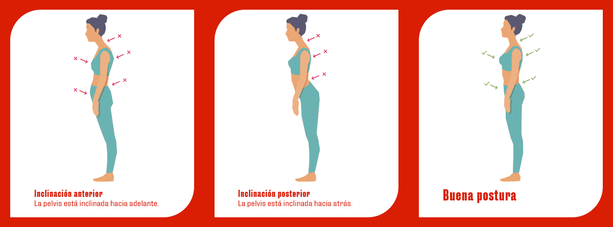 La cintura pélvica: definición y ejercicios de fortalecimiento y