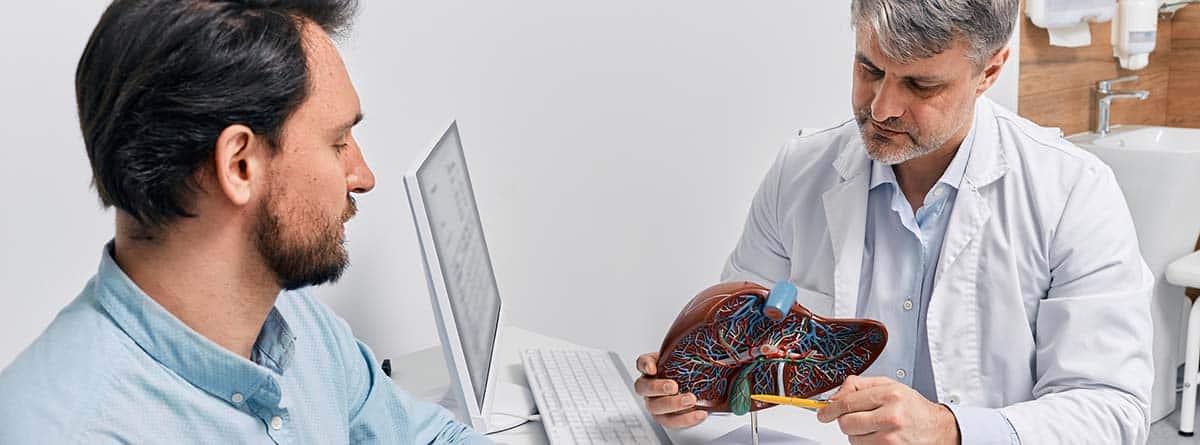 Médico con una maqueta de un hígado explicando a un paciente