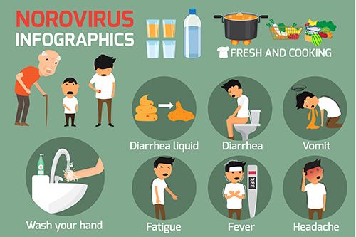  Qu Es El Norovirus S ntomas Y Tratamiento